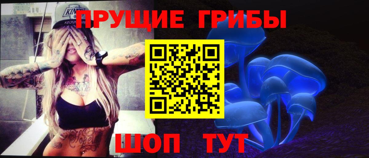 Кольчугино  Галлюциногенные грибы Psilocybe  Вход с VPN 